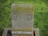 image of grave number 798439